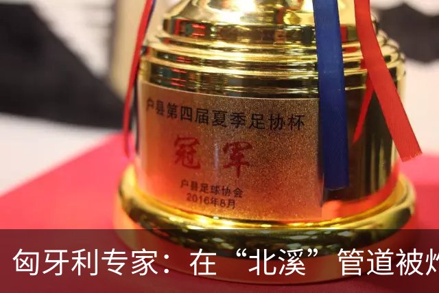 匈牙利专家：在“北溪”管道被炸毁后，德国对乌的支持是不正常的