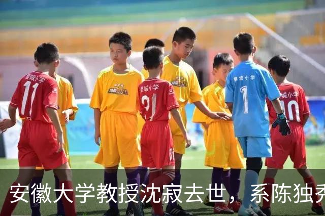 安徽大学教授沈寂去世，系陈独秀、胡适研究专家